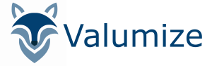 Valumize